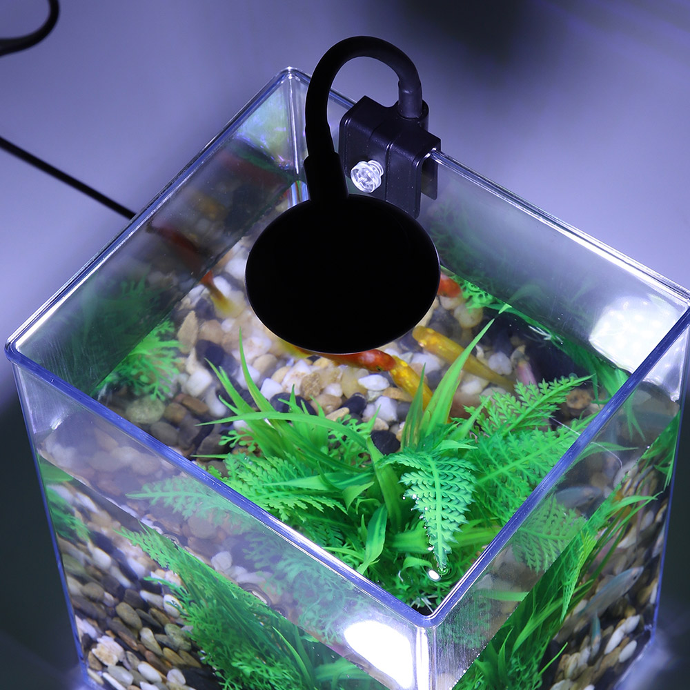 USB Desktop Fish Tank Set-Easy - đánh giá và giá Office Technician